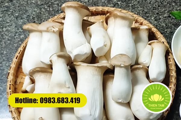 Nấm đùi gà tươi dùng chế biến các món chay cúng giỗ